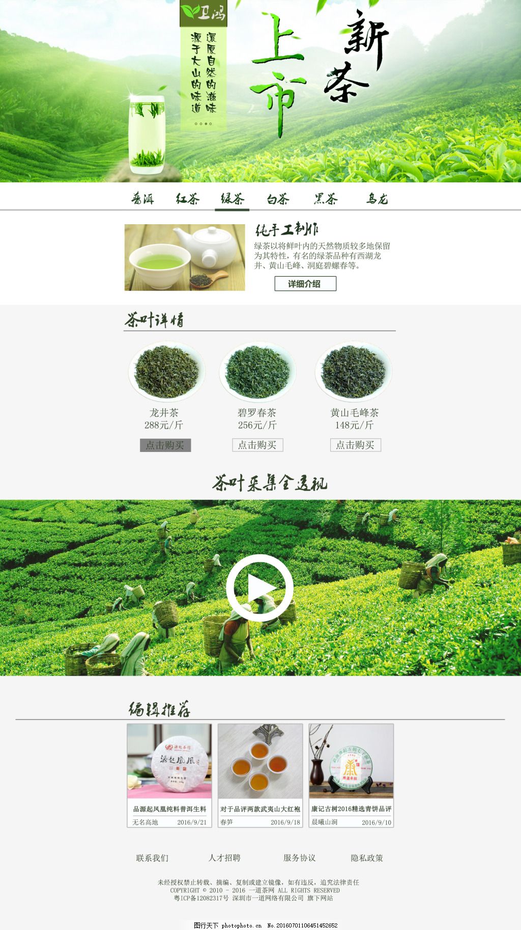 茶 官网 网页 宣传
