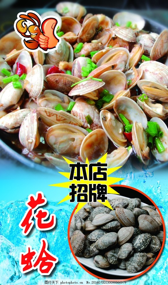 花蛤的推广 图行天下