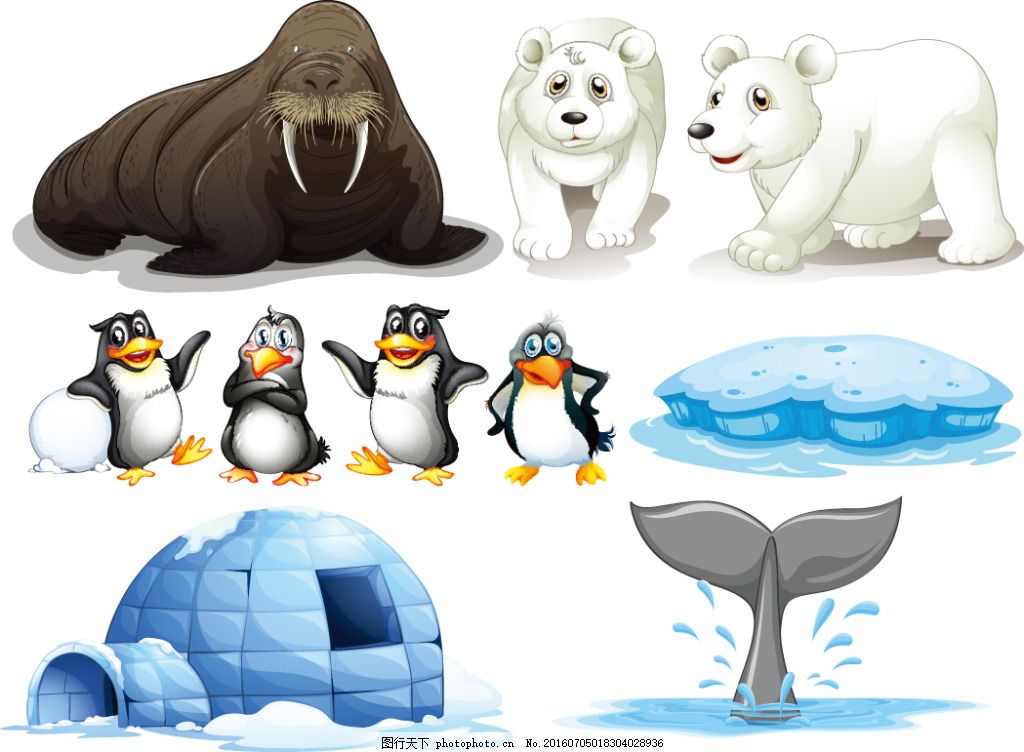 北极与南极动物图片_动漫人物_动漫卡通_图行天下图库
