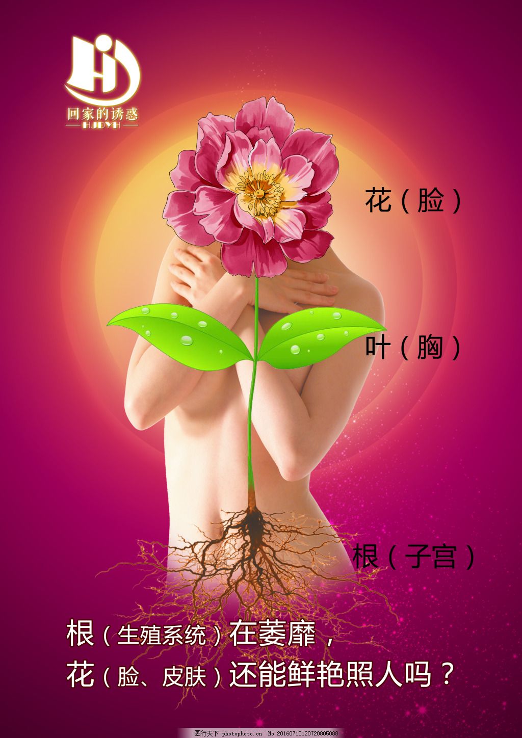 女人如花