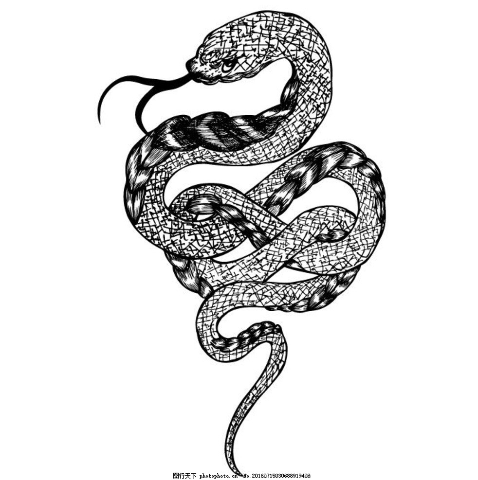 黑白蛇纹身 剪影 矢量 黑色 手绘 线条 矢量素材 素材 图标 黑白剪影
