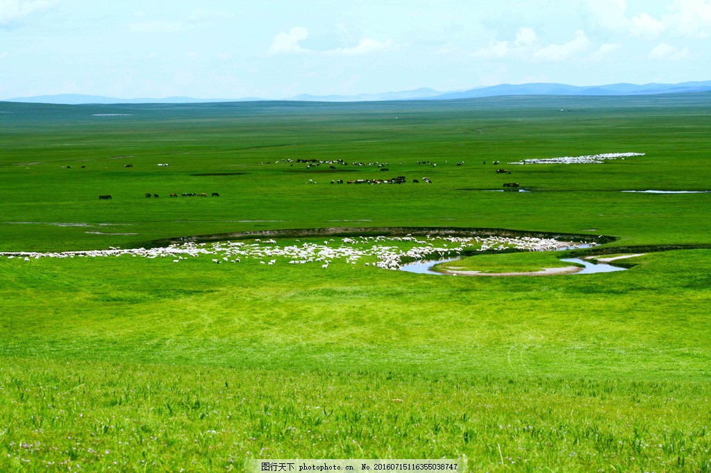 绿色草原羊群风景 绿色草原羊群风景图片素材下载 草原风景 内蒙古