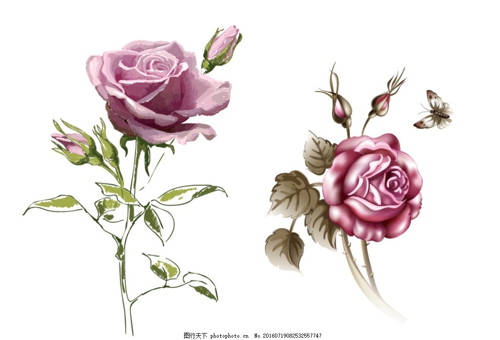 玫瑰花 牡丹 玫瑰花 线条 玫瑰花卉 手绘玫瑰 古典 时尚 绽放 玫瑰 花朵 花卉 矢量玫瑰素材 手绘花朵 手绘花卉 矢量素材 矢量玫瑰花 欧式玫瑰花 玫瑰花素材 花蕾 手绘玫瑰花 矢量 浪漫 矢量玫瑰 情人节 莲花 牡丹花 矢量牡丹花 牡丹花素材 水彩玫瑰花 水彩牡丹花 水彩花朵 一支玫瑰花 国画牡丹 设计 广告设计 广告设计 AI