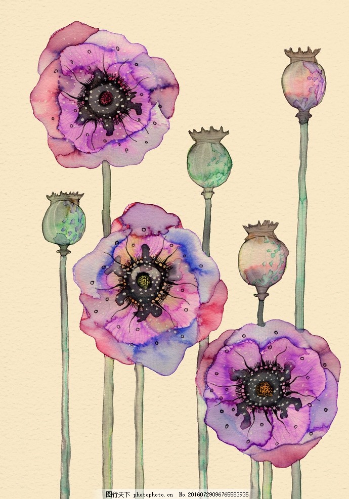 小清新 花虫画 虫鸟花 虫鸟画 花鸟画 画鸟 画小动物 植物 画花朵_动物世界 小清新 花虫画 虫鸟花 虫鸟画 花鸟画 画鸟 画小动物 植物 画花朵