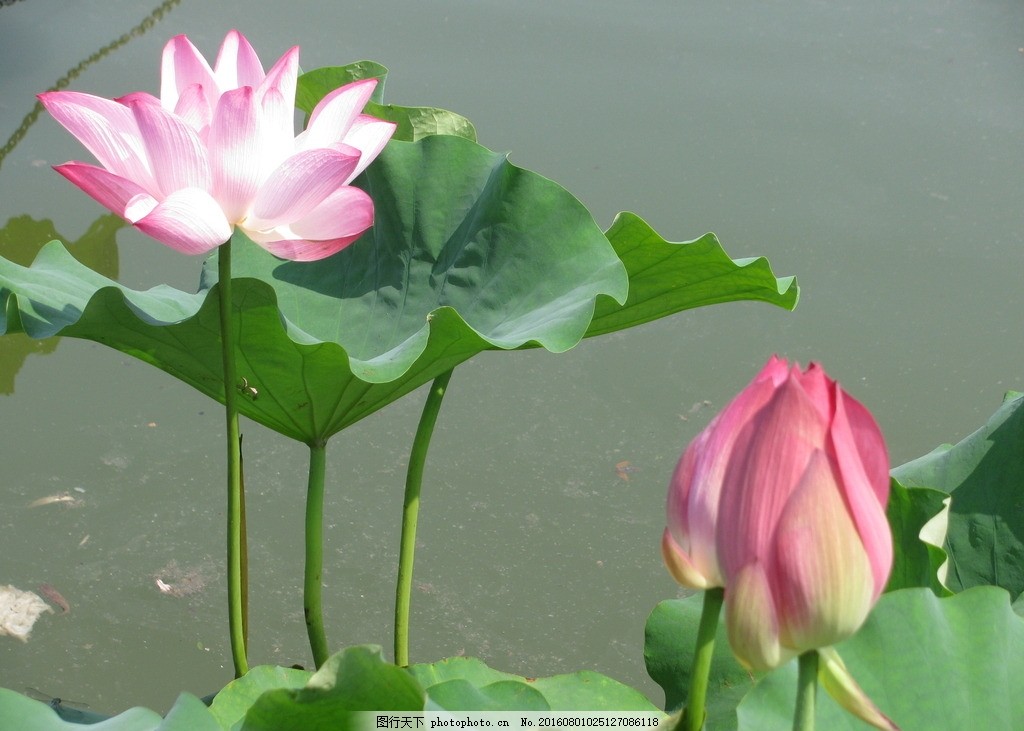 记者走底层｜高速服务区“藏”着个文旅打卡地