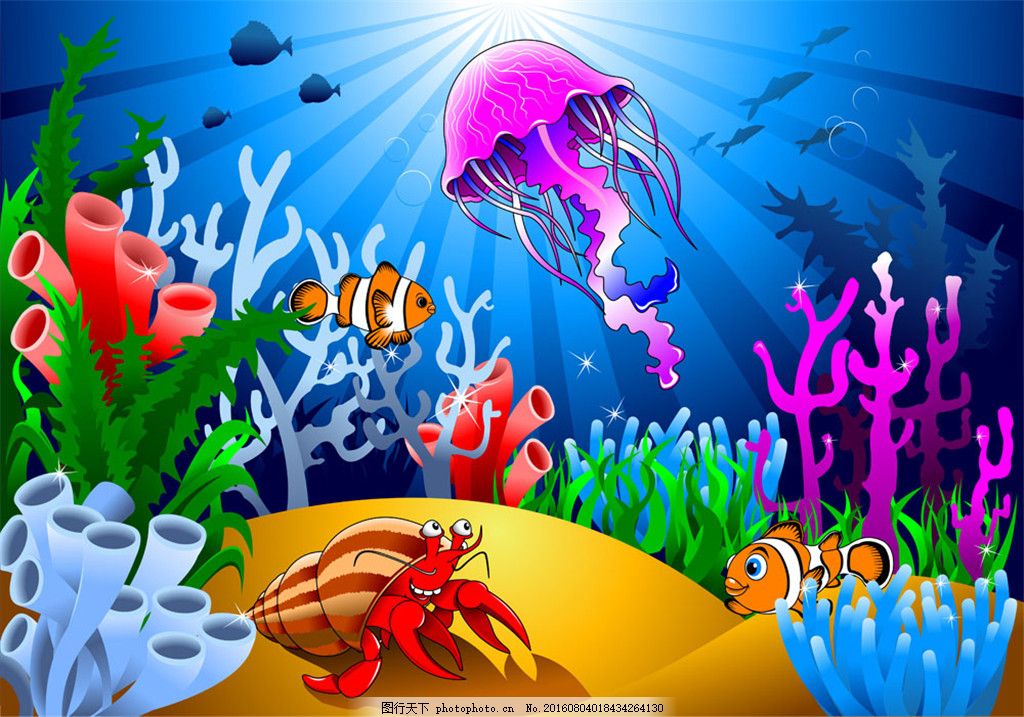 美丽的彩色海底图片,海草 海底世界 海螺 海藻 