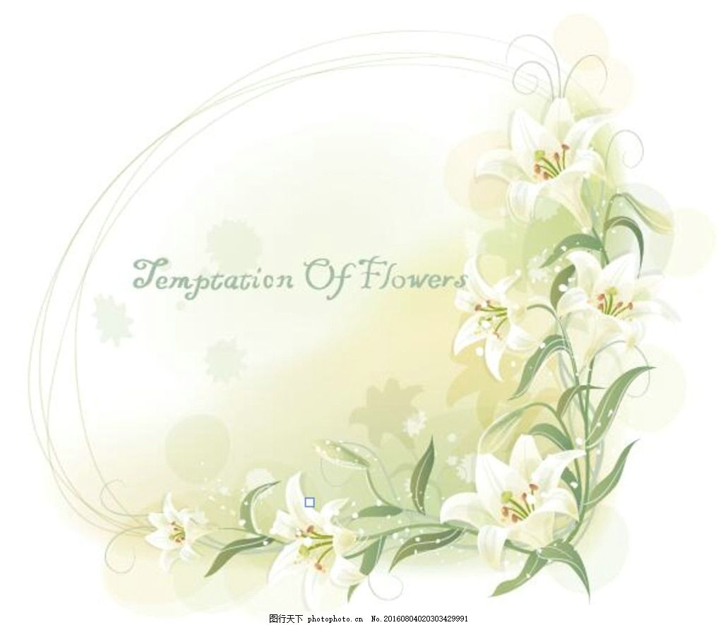 精美花纹花边边框图片