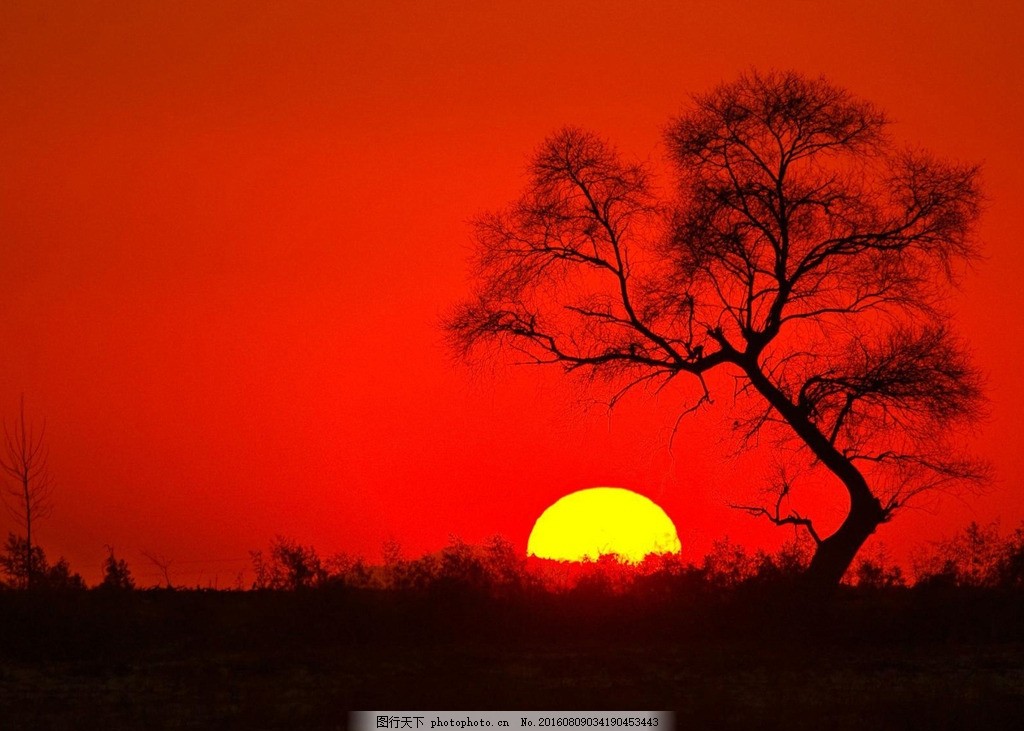 不织布夕阳西下风景画