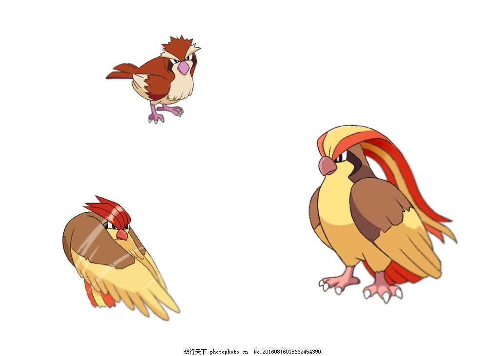 神奇宝贝 波波比比鸟比雕