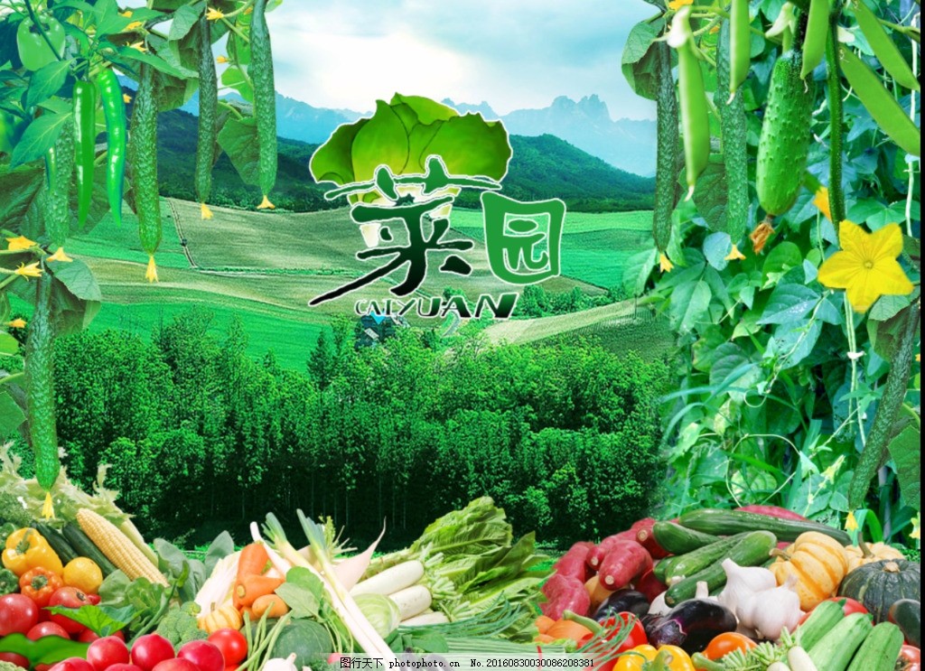 蔬菜海报 蔬菜广告 蔬菜 蔬菜店 蔬果海报 绿色食品 绿色水果 果蔬店 果蔬海报 水果 水果店海报 蔬菜厂 蔬菜采购 农场 蔬菜农场 健康 无公害 有机蔬菜 优质蔬菜 新鲜蔬菜 蔬菜零售 绿色产品 蔬菜店海报 蔬菜口味 水果拼盘 新鲜果蔬 甜品海报 超市 超市海报 超市蔬菜 设计 广告设计 海报设计 300DPI PSD