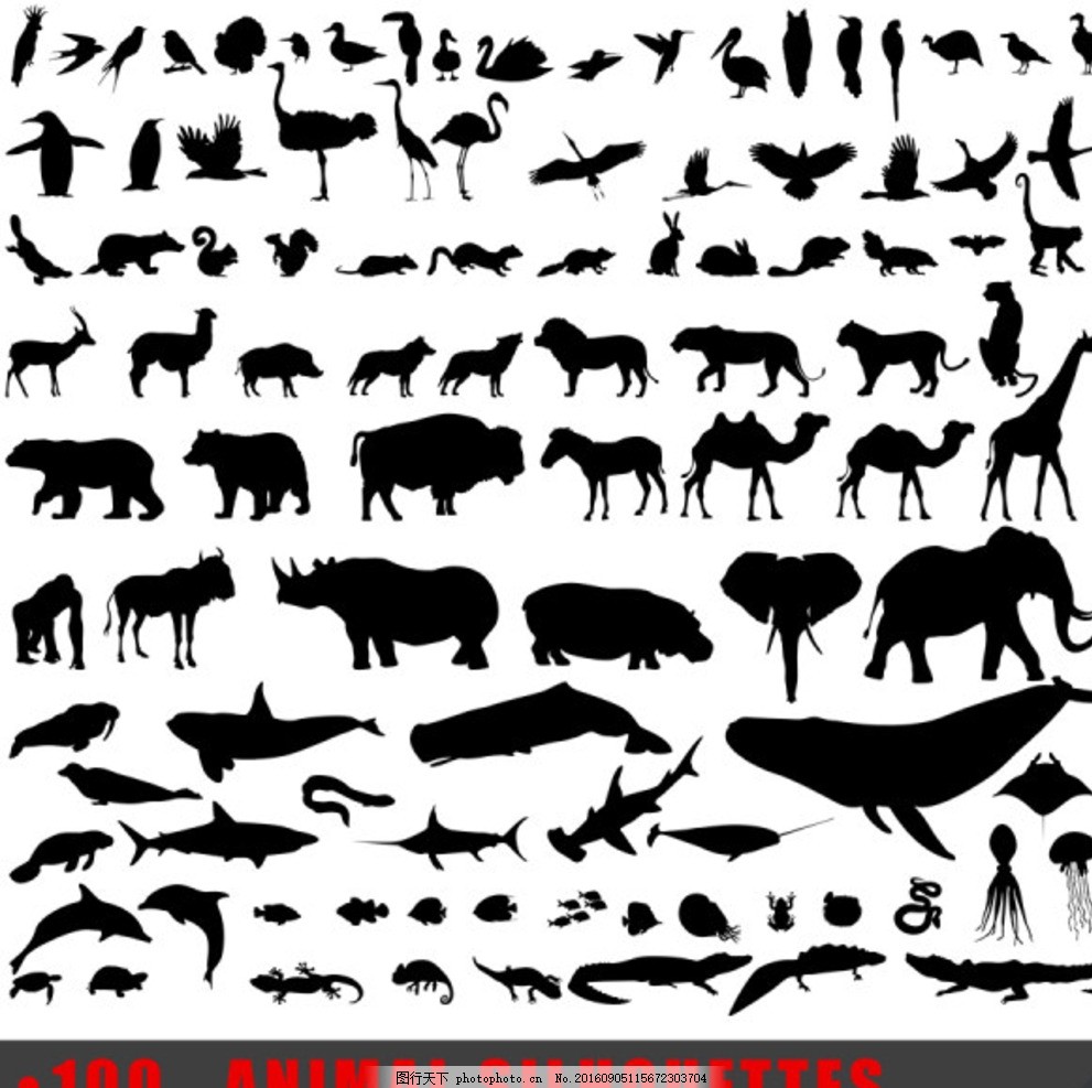 矢量图动物剪影画图片