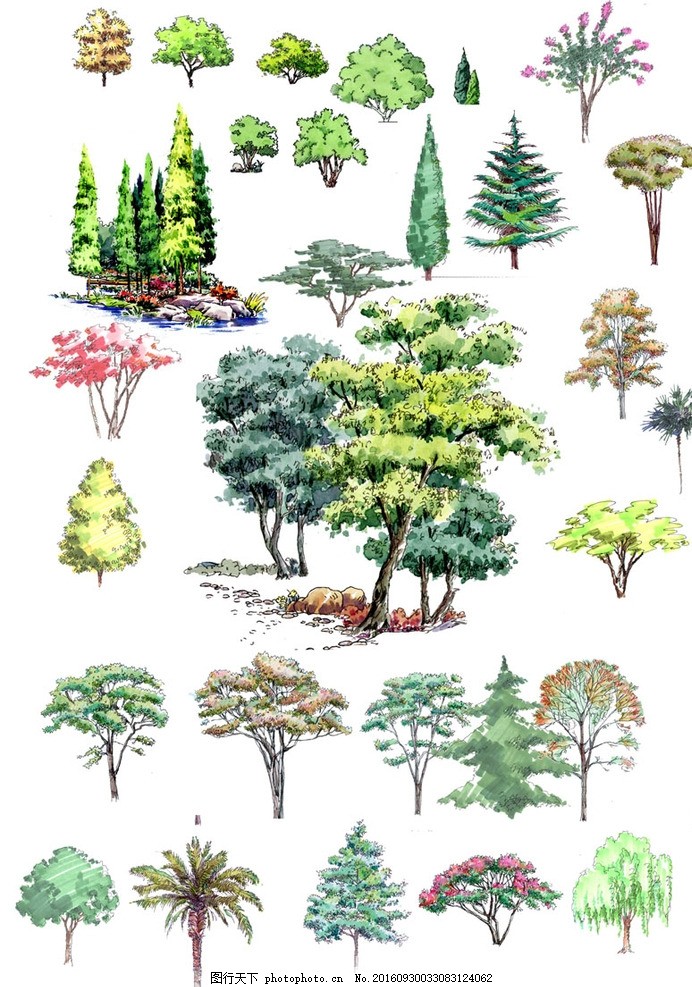 手绘 园林 绿化 景观 树木 素材 立面 水彩 乔木 高清 色