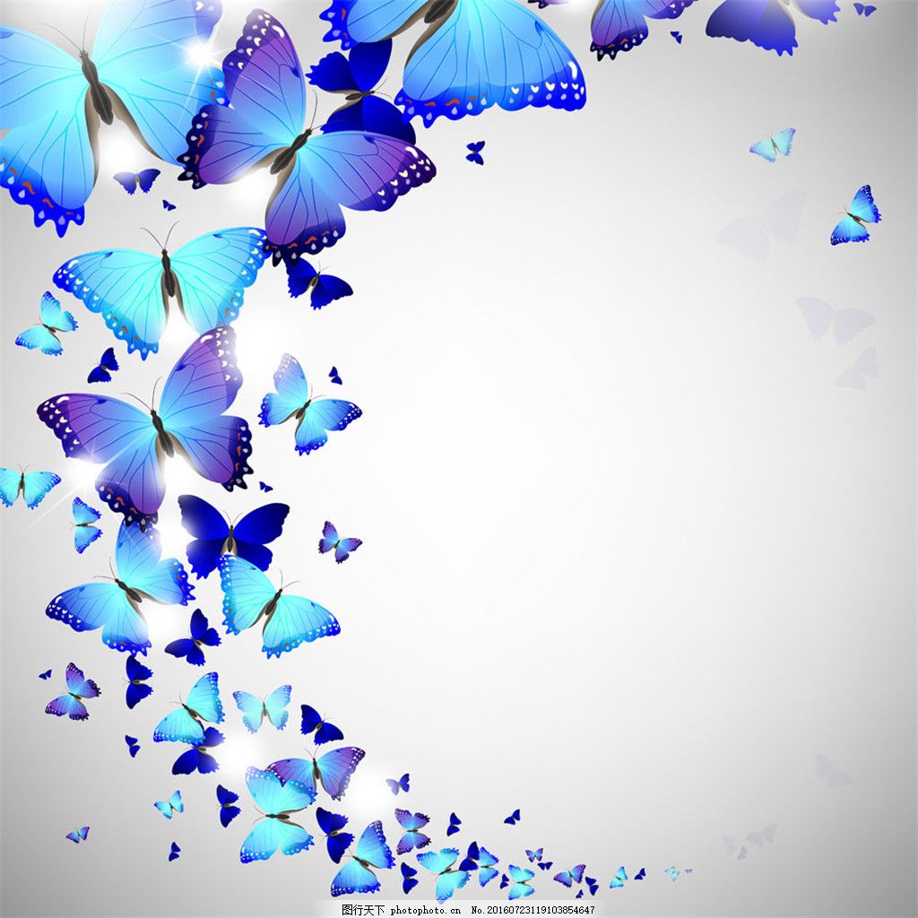 漂亮蓝色蝴蝶图片素材-编号24770787-图行天下