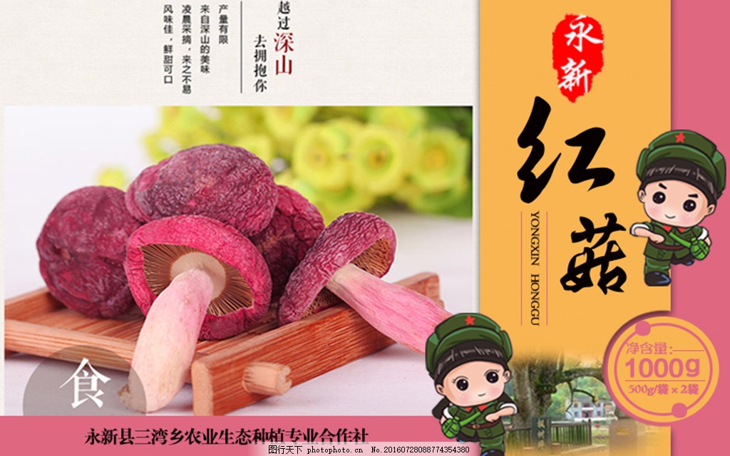 红菇,包装设计,平面设计,标签图