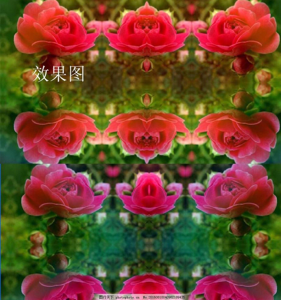 蔷薇花特效炫彩视频背景图片 动画素材 Flash动画 图行天下素材网
